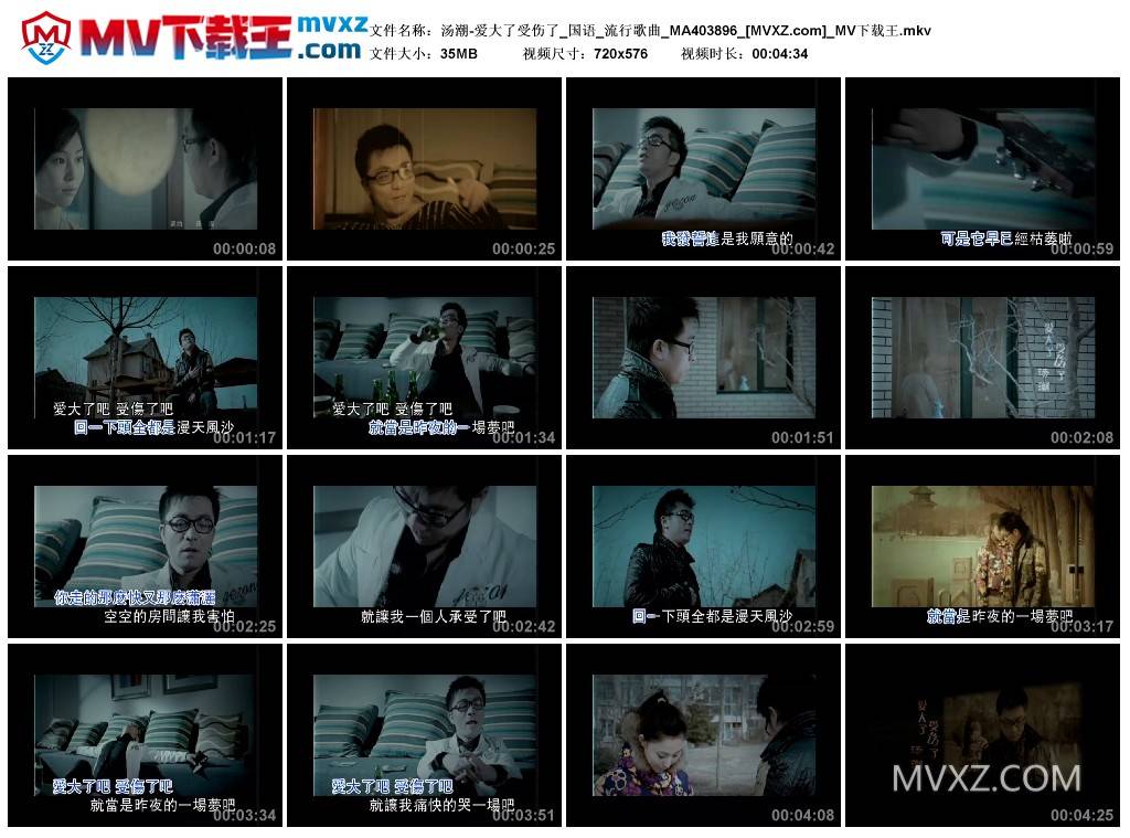 汤潮-爱大了受伤了_国语_流行歌曲_MA403896